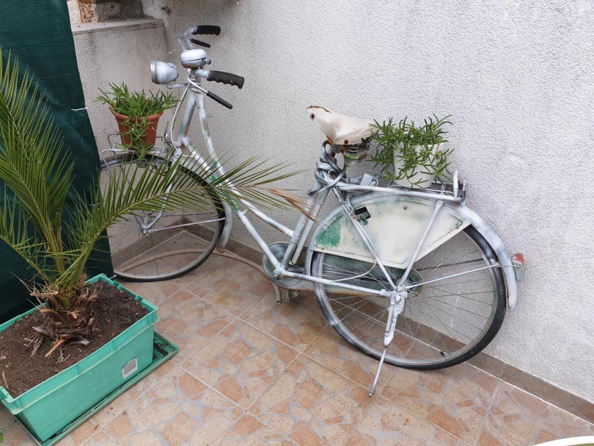 Guest House Roki & Diva (Adults Only) Ζαντάρ Εξωτερικό φωτογραφία